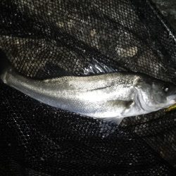 冷たい向かい風…