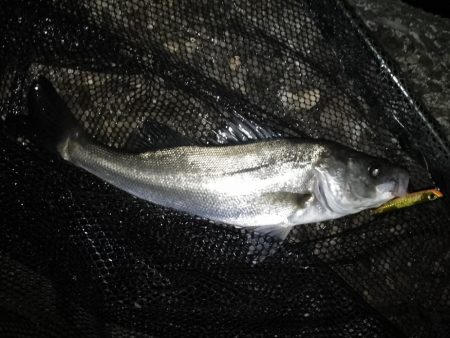 冷たい向かい風…