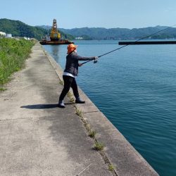 初めて釣ったカマス。