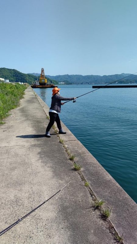 初めて釣ったカマス。