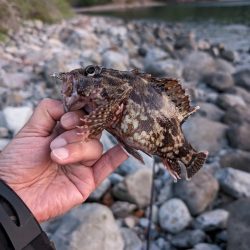 陸っぱり釣行記