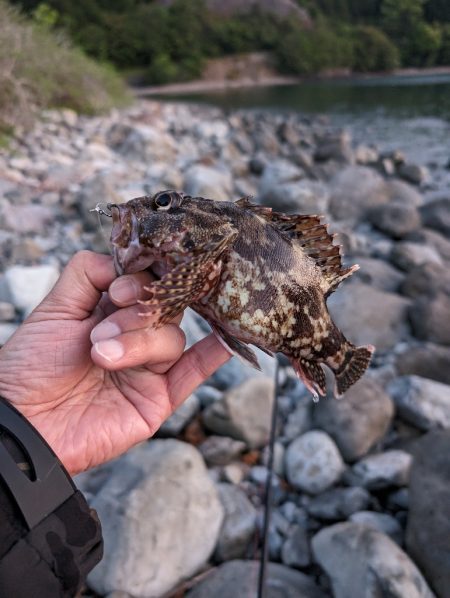 陸っぱり釣行記