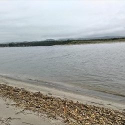 雨後にシーバス60UP！