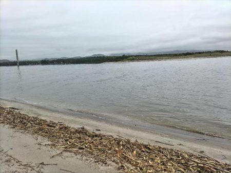 雨後にシーバス60UP！