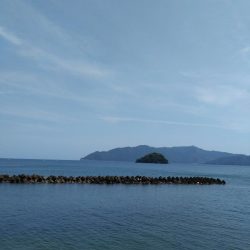 加斗の海岸で良型キス