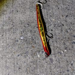 バイト(当たり)は多いです