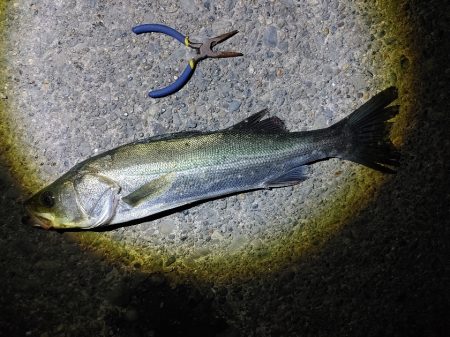 なかなか難しかったです(^^;)