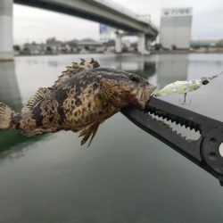 釣りキャン帰りに