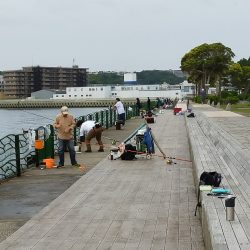 サバ狙い朝釣行