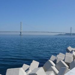 やっぱり穴釣り