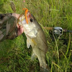 爆釣でいいでしょ‼️