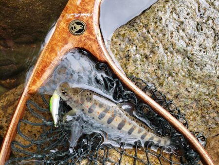 日曜日は毎週荒れ模様なので濡れるなら入っち…