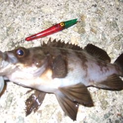 波風治まるまではやや渋め