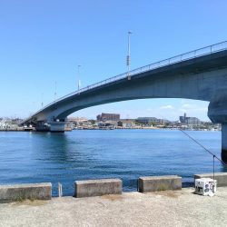 釣友が東二見に集まりました