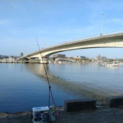 買い物待ち釣行