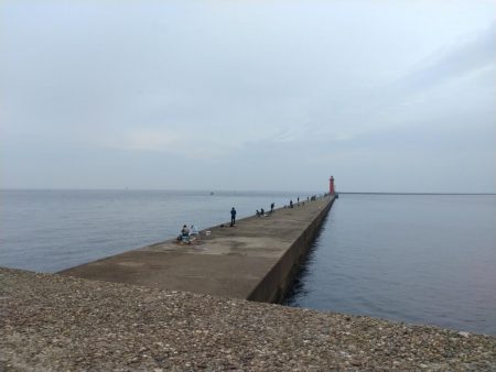 播磨新島のキス釣果