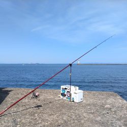 播磨新島のキス釣果