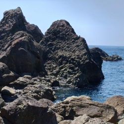 アカハタはどこいった?