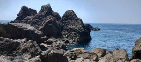 アカハタはどこいった?