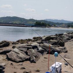 片男波はまだまだ数が少ない