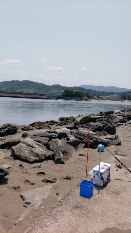 片男波はまだまだ数が少ない