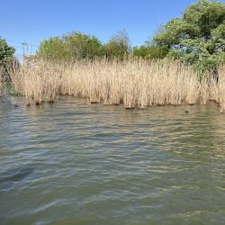 北山田サイト40、35cm