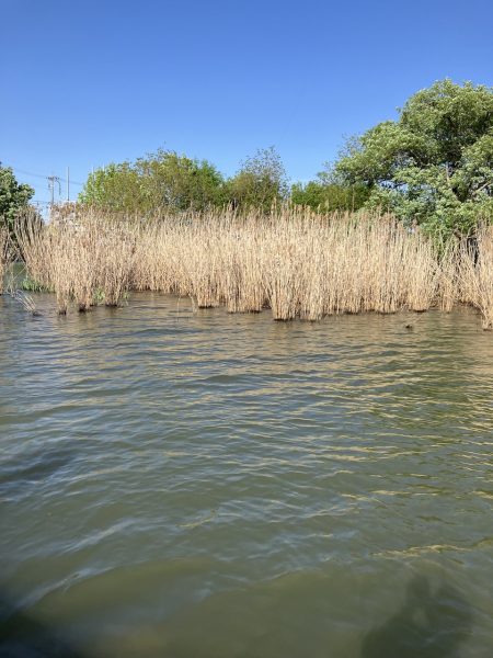 北山田サイト40、35cm