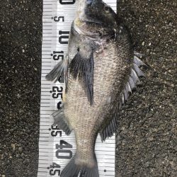 イチノ兄弟、釣果！