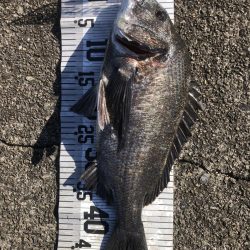 年無し10匹‼️