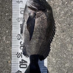 イチノ兄弟、釣果!