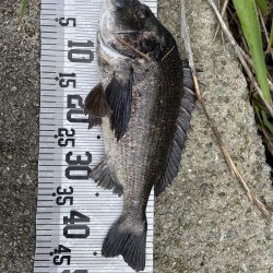 イチノ兄弟、釣果!