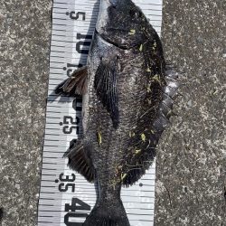 イチノ兄弟、釣果!