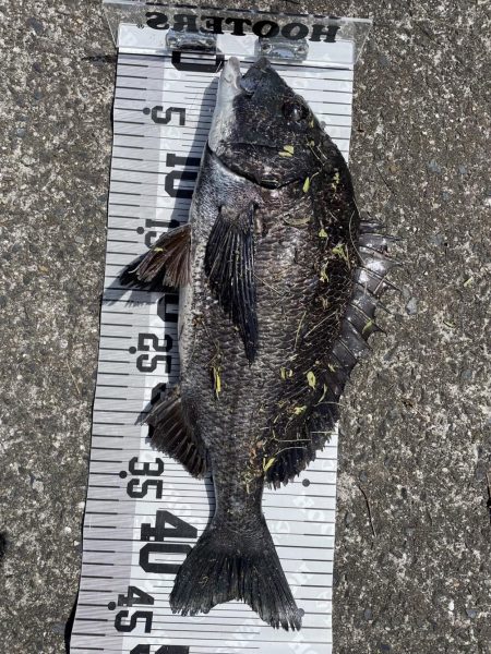 イチノ兄弟、釣果!