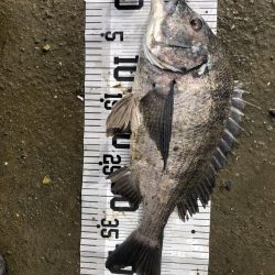 イチノ兄弟、釣果!