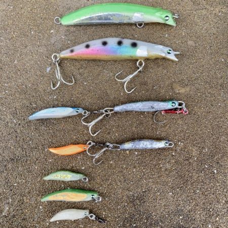 安全確保の磯ヒラスズキ