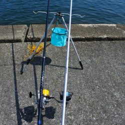 キス釣り 天候は良かったが