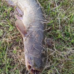 今日もちょっとだけ寄り道