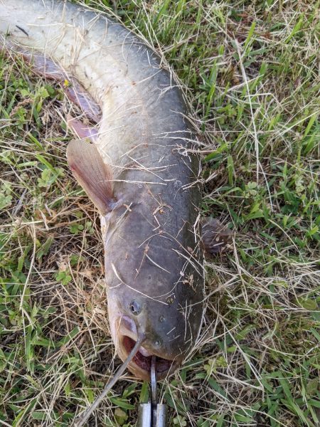 今日もちょっとだけ寄り道