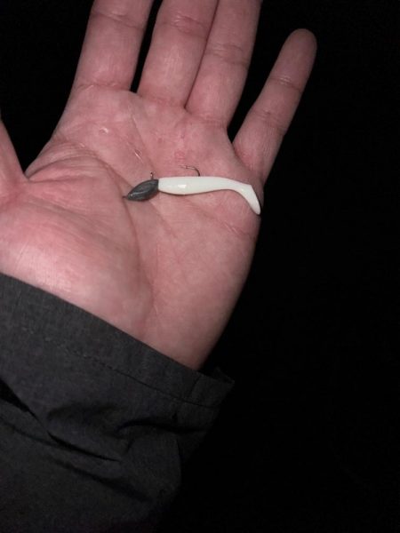 ミドル？ライトゲームでキジハタを