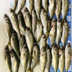 クーラーいっぱい😆