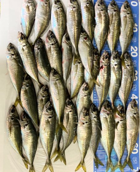 クーラーいっぱい😆