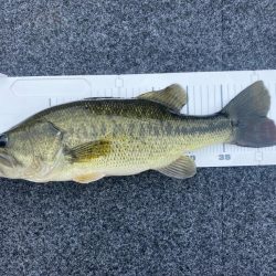 1日ボート釣行！