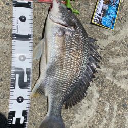 ゴミがいっぱいだけど釣れる