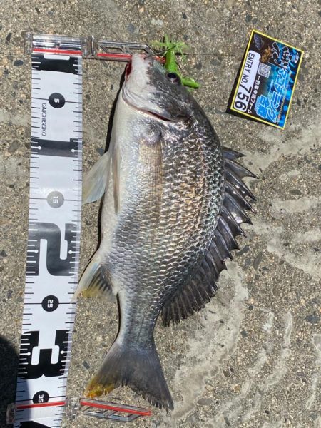 ゴミがいっぱいだけど釣れる