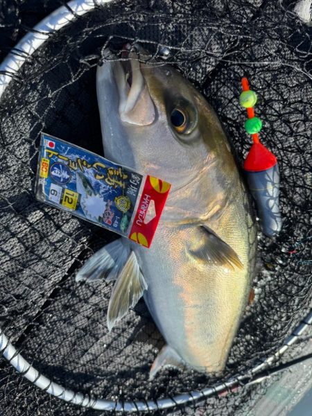 カタタの釣堀で爆釣