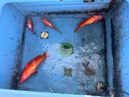 ガチンコ仕掛けでロック＆フラットへ