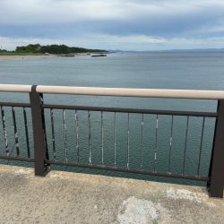 ショアジギング