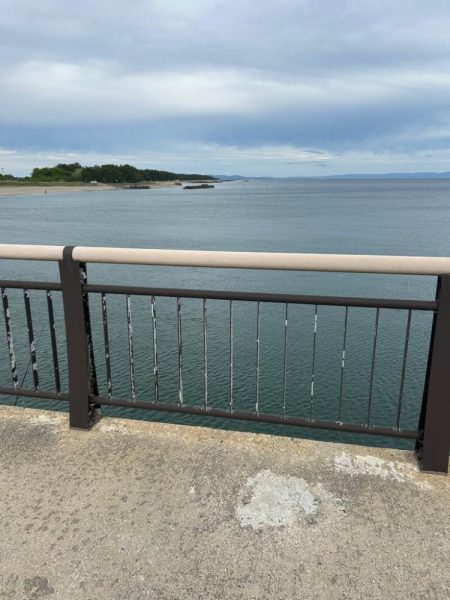 ショアジギング