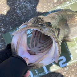 ⭐️久しぶり手応え