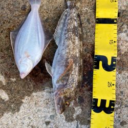 爆風の朝マズメ